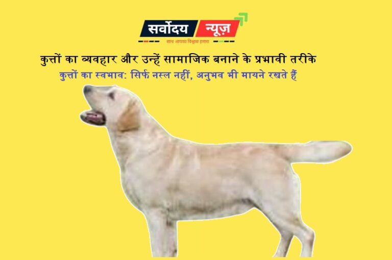कुत्तों का व्यवहार और उन्हें सामाजिक बनाने के प्रभावी तरीके