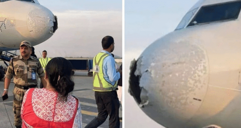 IndiGo की फ्लाइट पर गिरी बिजली, श्रीनगर में हुई इमरजेंसी लैंडिंग | 227 यात्रियों की जान बची