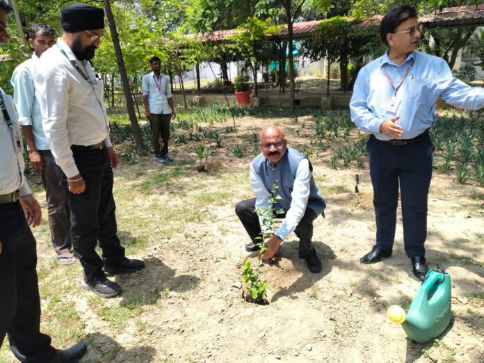 विश्व पर्यावरण दिवस 2025: भारतीय रेल परिवहन प्रबंधन संस्थान लखनऊ में हुआ वृक्षारोपण | सर्वोदय न्यूज़