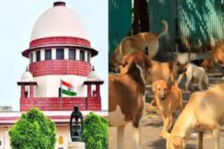 दिल्ली में लावारिस कुत्तों को लेकर सुप्रीम कोर्ट का सख्त आदेश: 8 हफ्तों में भेजें डॉग शेल्टर