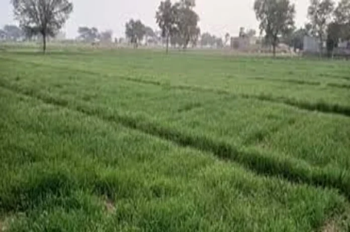 यूपी में नया सर्किल रेट लागू होने से किसानों की बढ़ेगी आय, जानें किस जिले में होगा बड़ा बदलाव