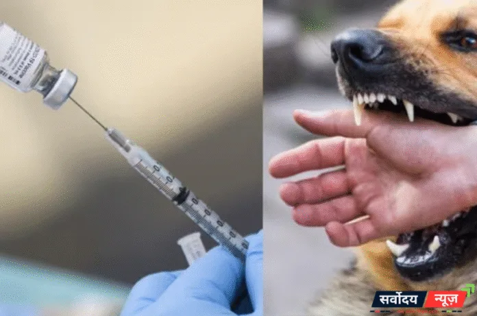 रेबीज़ फ्री राजस्थान: चुनौतियाँ और समाधान