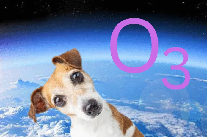 ओज़ोन थेरेपी: इंसानों और जानवरों के इलाज में कारगर उभरती चिकित्सा तकनीक