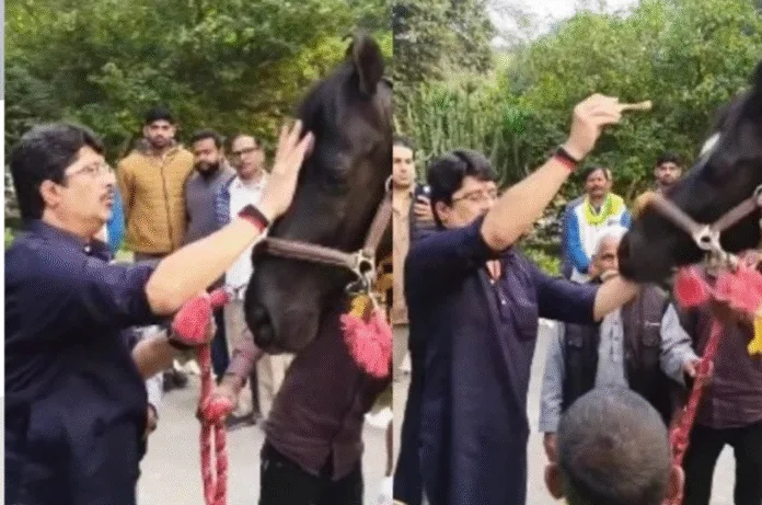 राजा भैया के अस्तबल में पहुंचा नया ‘ट्रोजन’ घोड़ा, तिलक-आरती के साथ हुआ शाही स्वागत