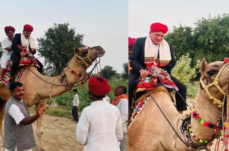 रेगिस्तान में ऊंट पर सवार होकर वोटर्स की तलाश में SDM और BLO, बाड़मेर में SIR अभियान बना बड़ी चुनौती