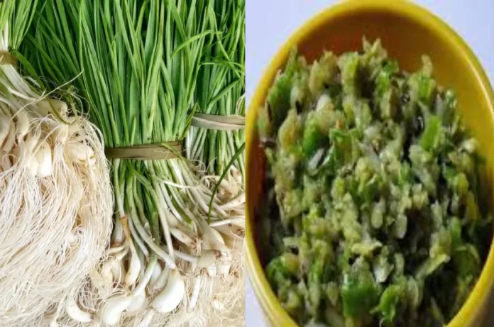 विंटर स्पेशल : हरे लहसुन की चटनी, स्वाद के साथ सेहत का जबरदस्त तड़का