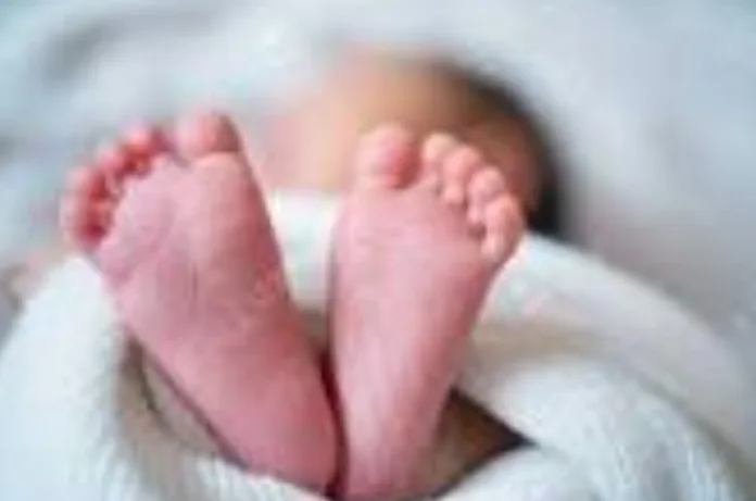 लिफ्ट खराब और एंबुलेंस न मिलने से गेट पर हुआ प्रसव, बदायूं में नवजात की मौत