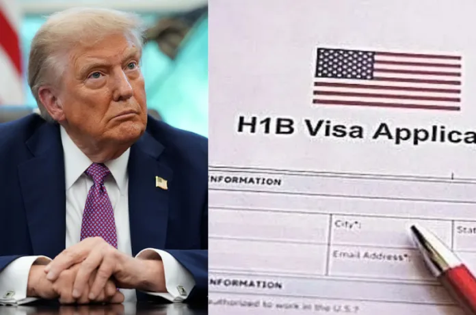 ‘नौकरी चोर’ से लेकर ‘वीजा स्कैमर’ तक: अमेरिका में भारतीय बने निशाना, ट्रंप की नीतियों से बिगड़ा माहौल