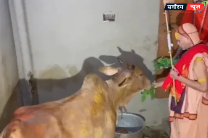 गौ रक्षा के लिए काशी से लखनऊ तक यात्रा, शंकराचार्य अविमुक्तेश्वरानंद बोले—धर्मयुद्ध शुरू