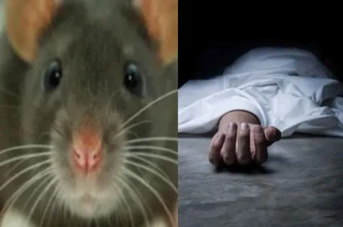 मिर्जापुर अस्पताल के शवगृह में रखे शव को चूहों ने कुतरा? परिजनों के हंगामे के बाद जांच शुरू