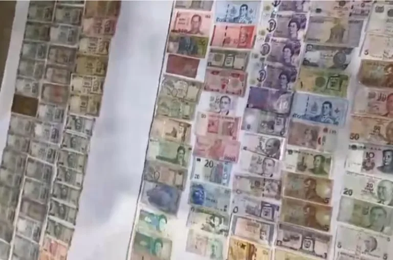 UP News: 786 नंबर वाले नोटों का खजाना, पीलीभीत के शख्स को दुबई से मिला न्योता