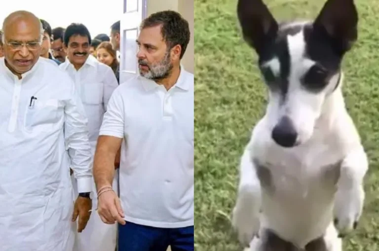 खरगे के आवास पर थी बैठक, राहुल गांधी के साथ उनका डॉगी ‘पिडी’ भी बना चर्चा का विषय