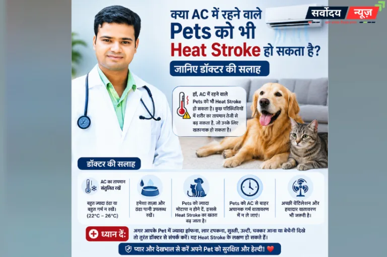 क्या AC में रहने वाले Pets को भी Heat Stroke हो सकता है? जानिए डॉक्टर की सलाह