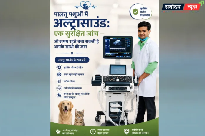 पालतू जानवरों के लिए क्यों जरूरी है अल्ट्रासाउंड? समय पर जांच से बच सकती है जान