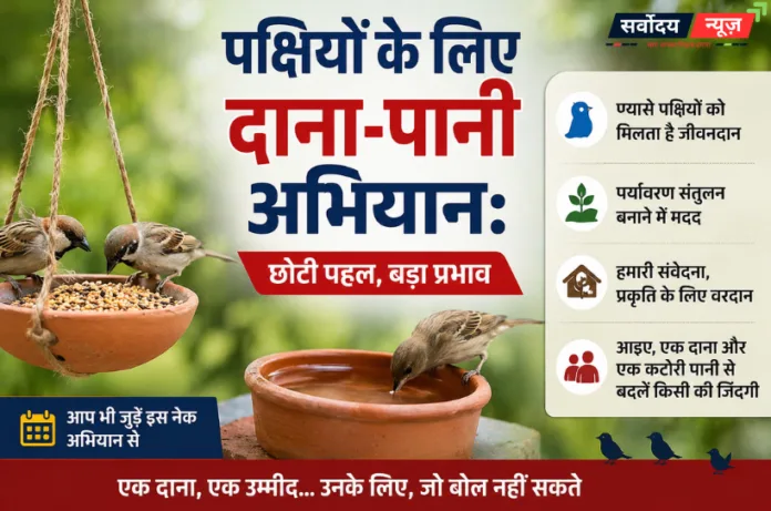 पक्षियों के लिए दाना-पानी अभियान: छोटी पहल, बड़ा प्रभाव