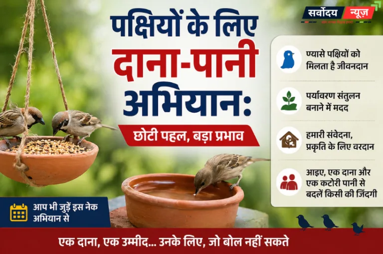 पक्षियों के लिए दाना-पानी अभियान: छोटी पहल, बड़ा प्रभाव