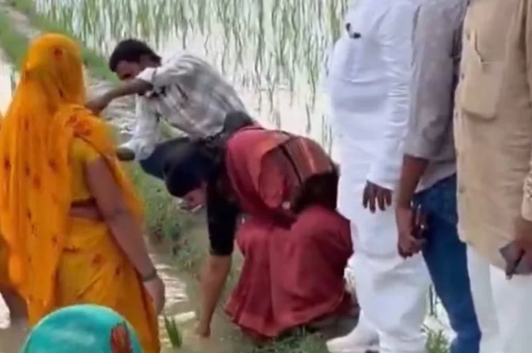 ‘धान ऐसे रोपते हैं या ऐसे?’ खेत में उतरीं सांसद प्रिया सरोज, महिलाओं से सीखी रोपाई; VIDEO वायरल